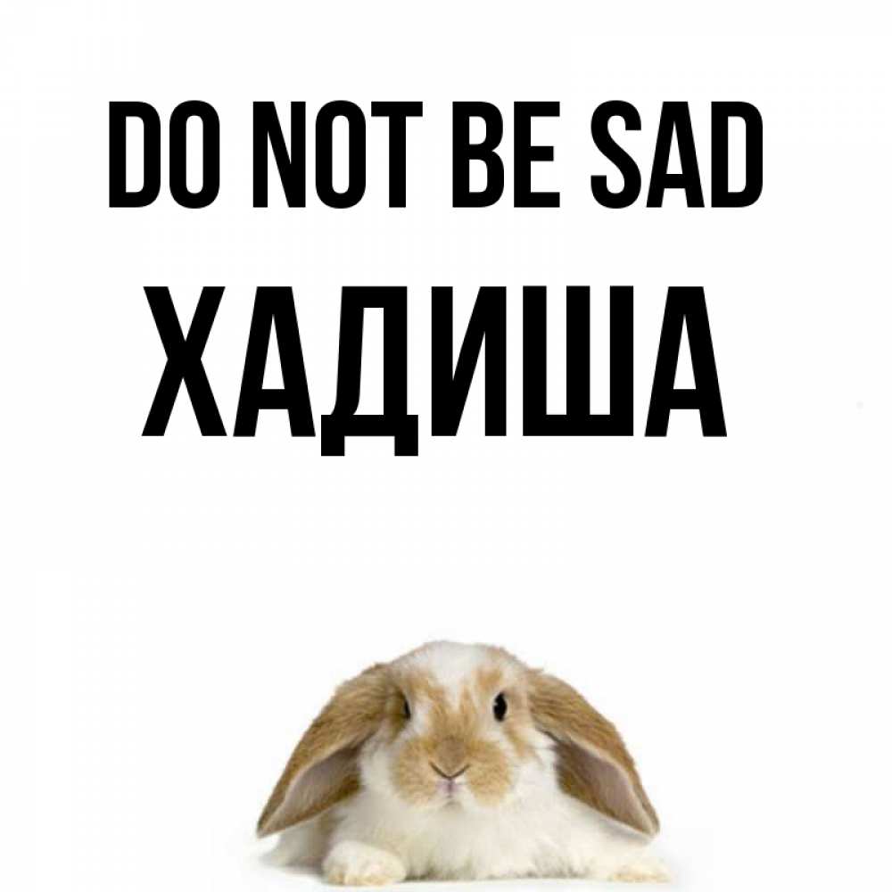 Greetings card с именем, ХАДИША Do not be sad коричнево белый заяц с большими ушками Greetings with text for free download 