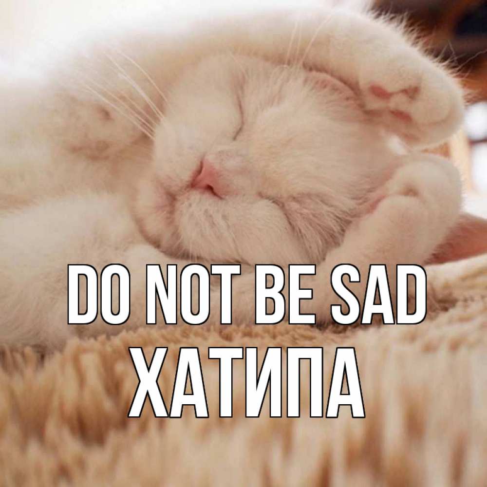 Greetings card с именем, ХАТИПА Do not be sad белый кот Greetings with text for free download 