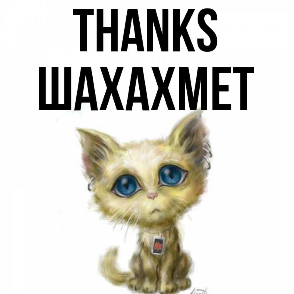 Greetings card с именем, ШАХАХМЕТ Thanks рисованный кот благодарит вас Greetings with text for free download 