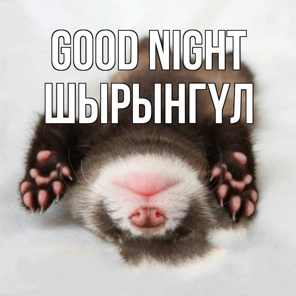 Greetings card с именем, ШЫРЫНГҮЛ Good night зверек Greetings with text for free download 