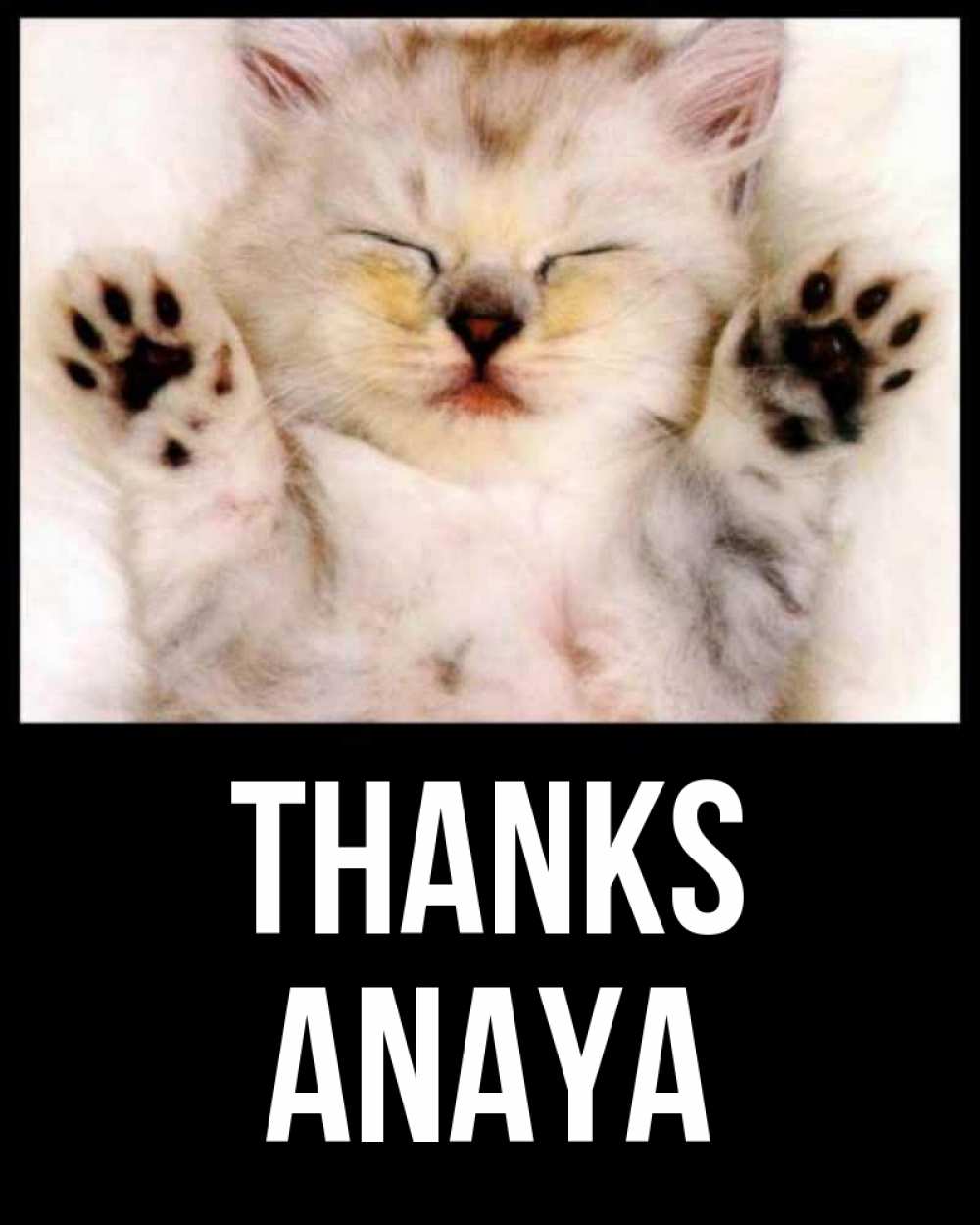 Greetings card с именем, Anaya Thanks маленький котенок Greetings with text for free download 