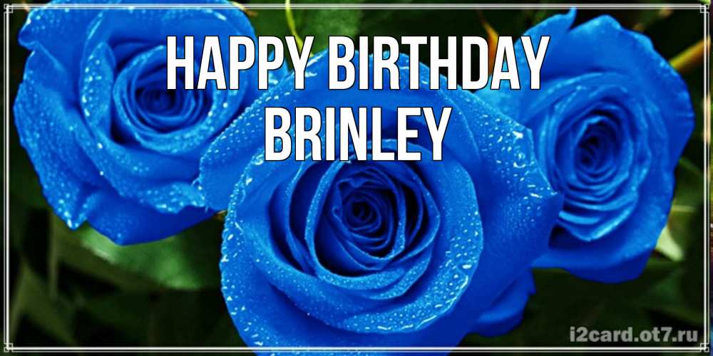 Greetings card с именем, Brinley Happy Birthday розы с синим цветом Greetings with text for free download 