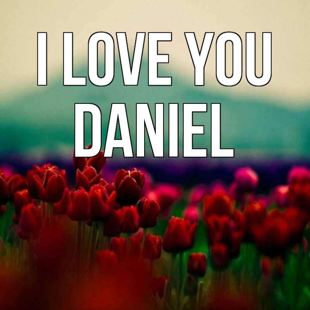 Greetings card с именем, Daniel I love you тюльпаны 4 Greetings with text for free download 