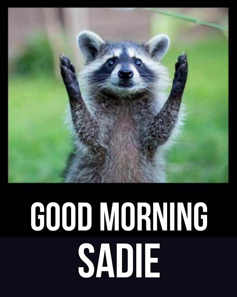Greetings card с именем, Sadie Good morning хорошее настроение утречком Greetings with text for free download 