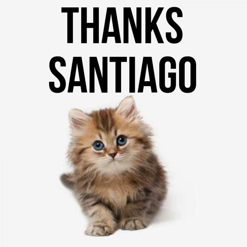 Greetings card с именем, Santiago Thanks пушистый котик Greetings with text for free download 