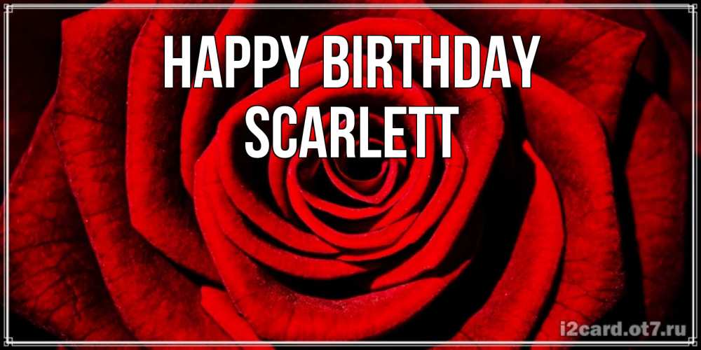 Greetings card с именем, Scarlett Happy Birthday алая роза Greetings with text for free download 