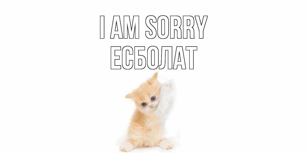 Greetings card с именем, Есболат I am sorry кот Greetings with text for free download 