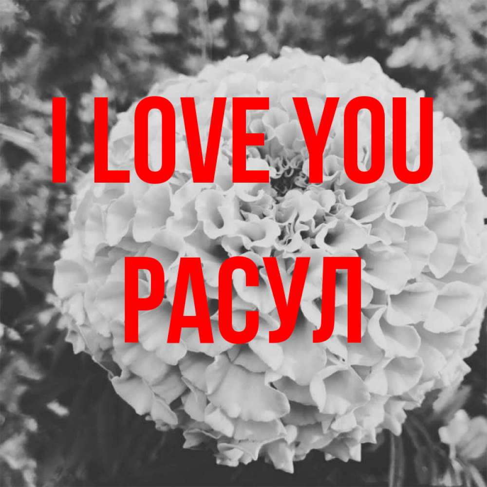 Greetings card с именем, РАСУЛ I love you подпись Greetings with text for free download 