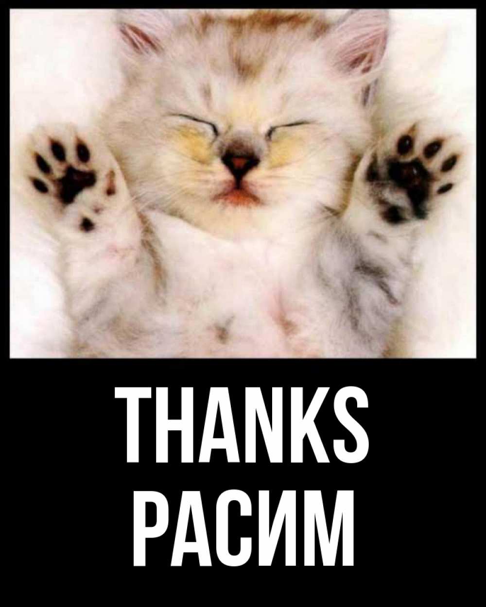 Greetings card с именем, Расим Thanks маленький котенок Greetings with text for free download 