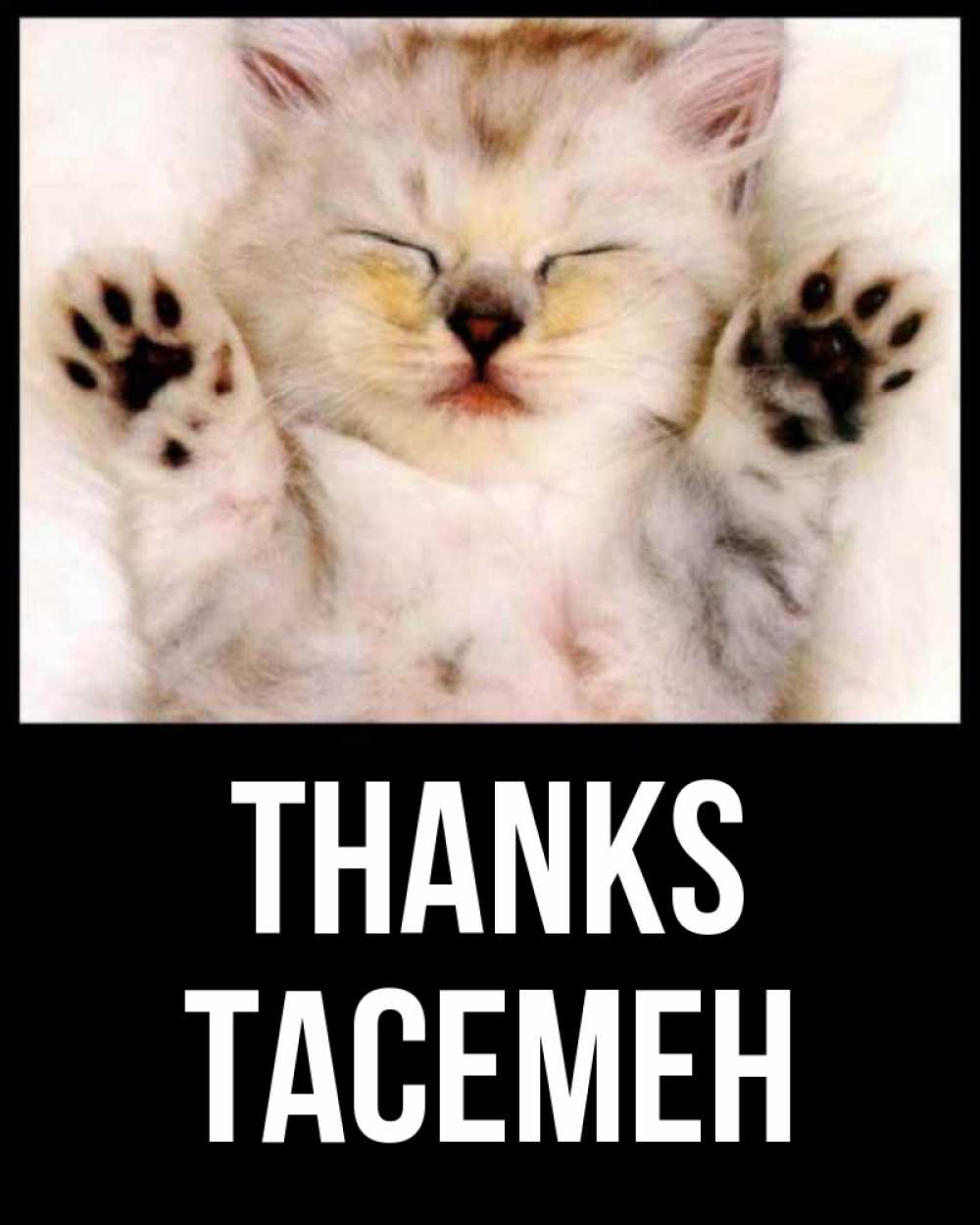 Greetings card с именем, ТАСЕМЕН Thanks маленький котенок Greetings with text for free download 