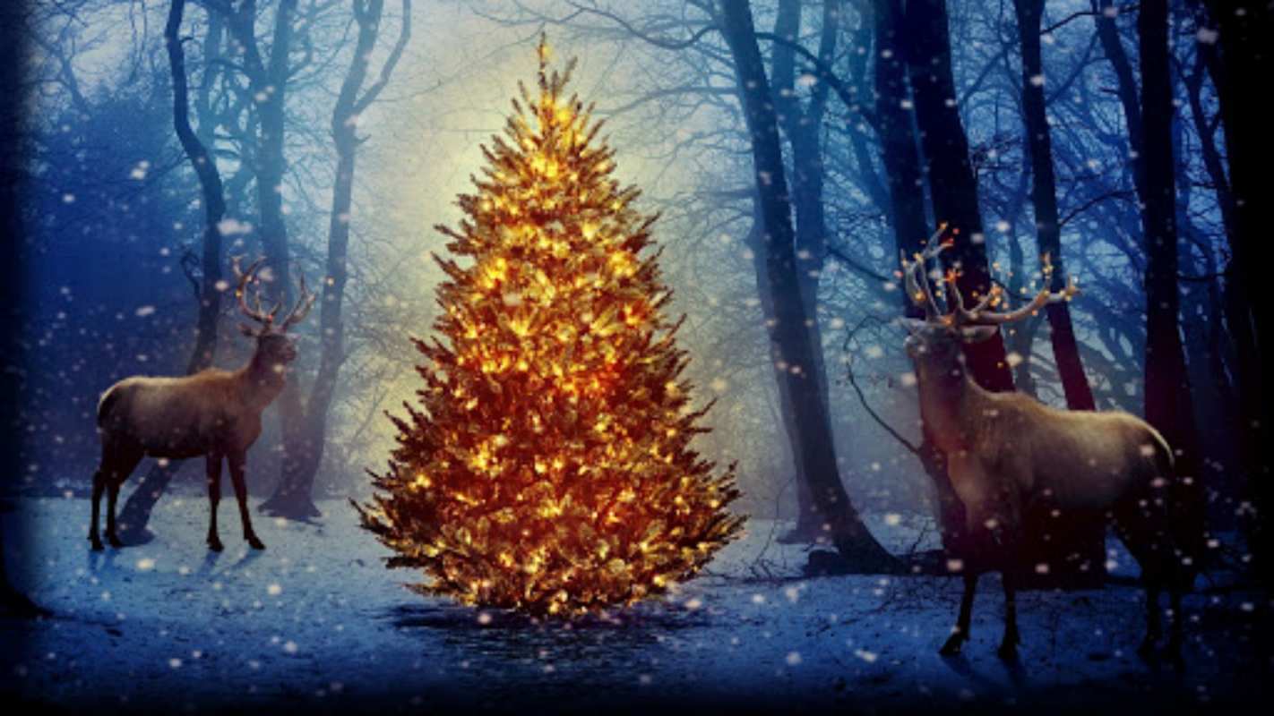 Открытка елка в лесу и олени  олени, новогодняя елка  Merry Christmas 
