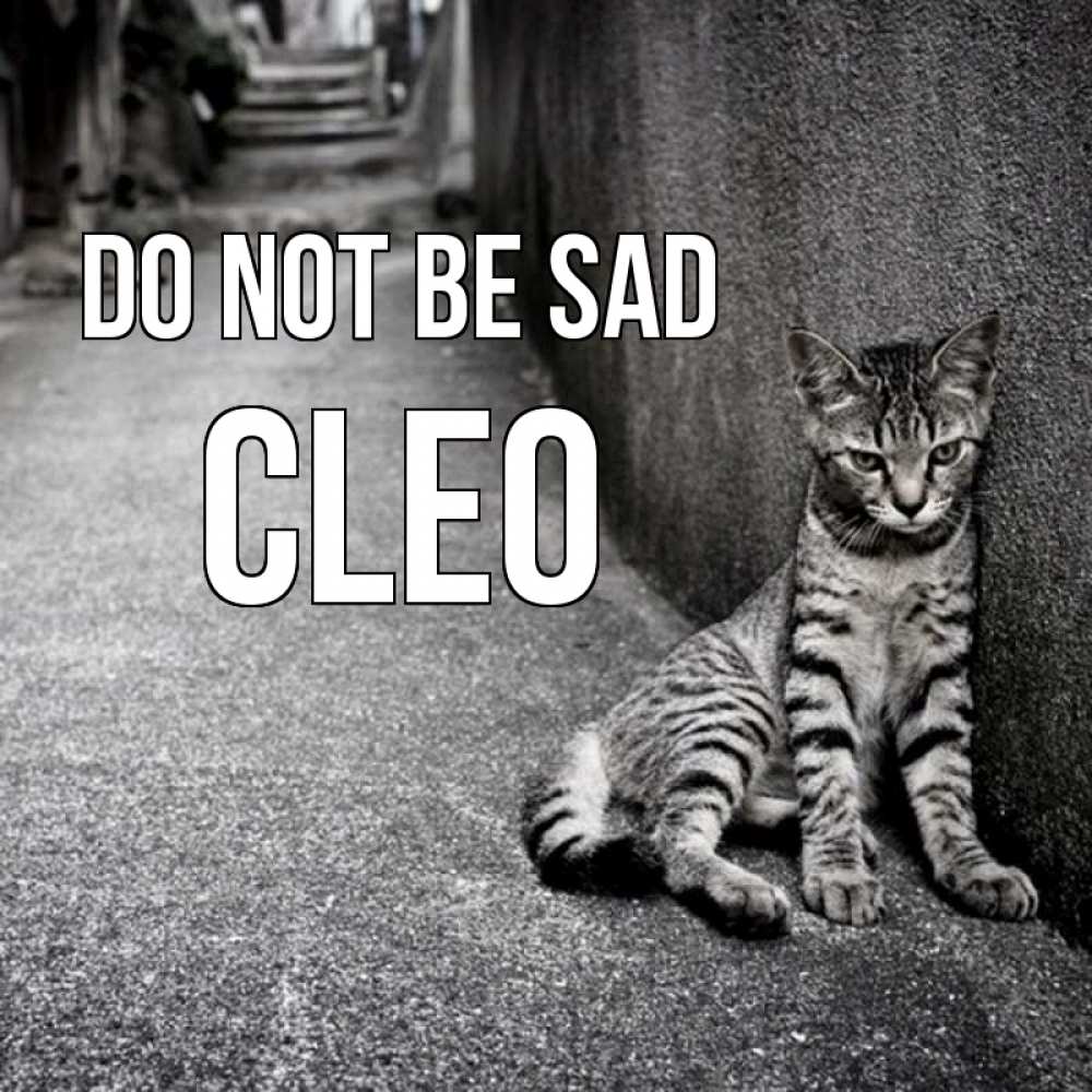 Greetings card с именем, Cleo Do not be sad скучающий котик Greetings with text for free download 