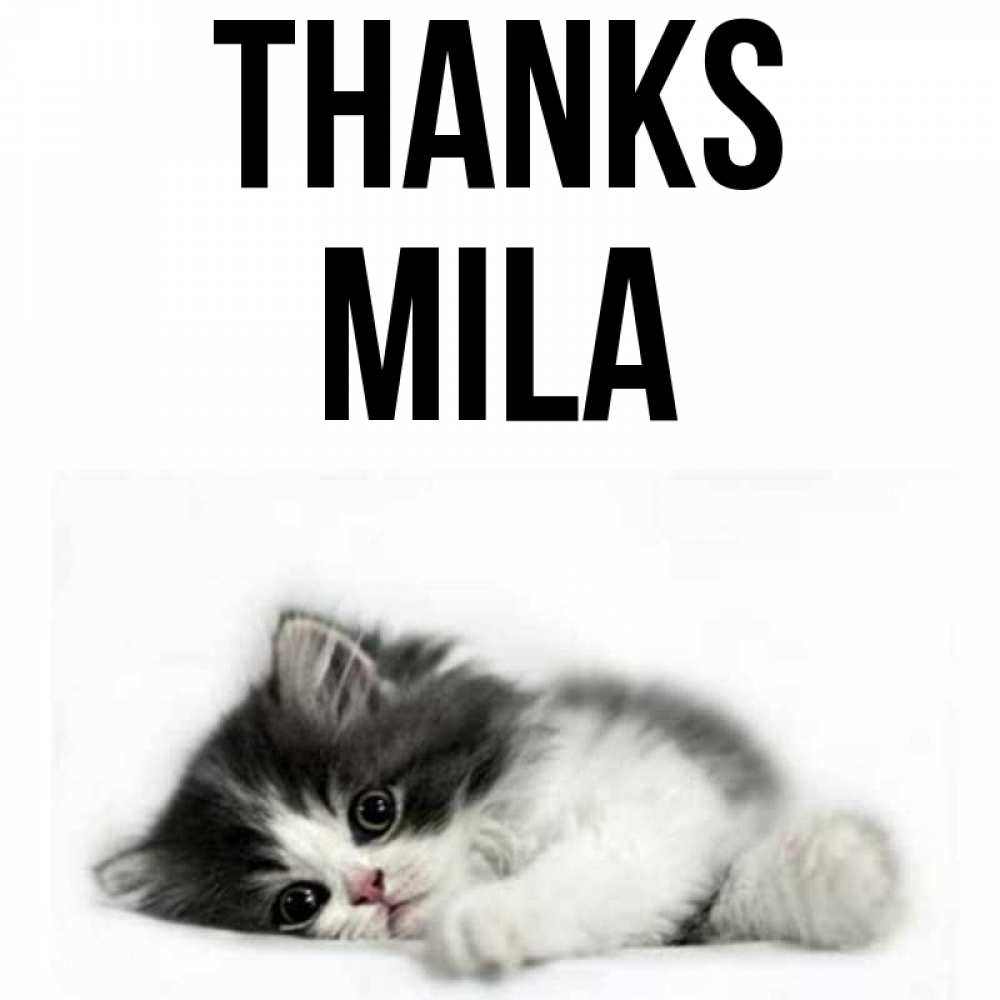Greetings card с именем, Mila Thanks черный и белый кот Greetings with text for free download 