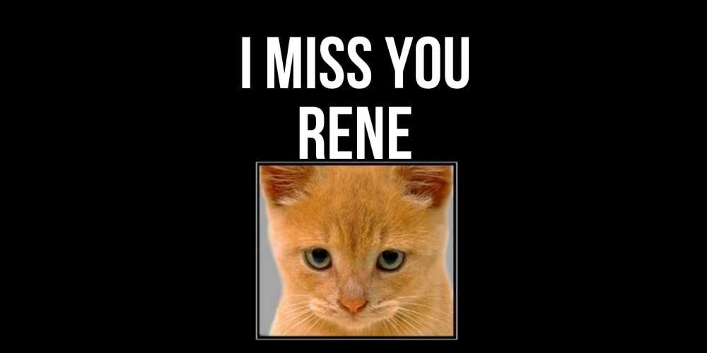 Greetings card с именем, Rene I miss you открытки рыжий котенок скучает по тебе Greetings with text for free download 