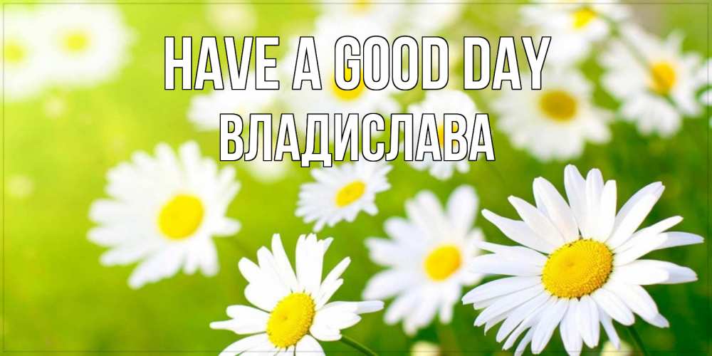 Greetings card с именем, Владислава Have a good day открытка с ромашками на зеленом фоне Greetings with text for free download 