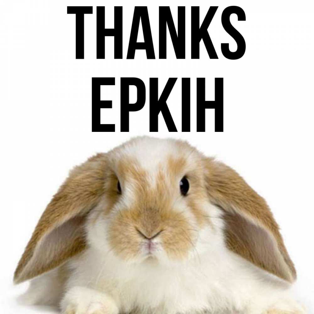 Greetings card с именем, Еркін Thanks коричнево белый заяц Greetings with text for free download 