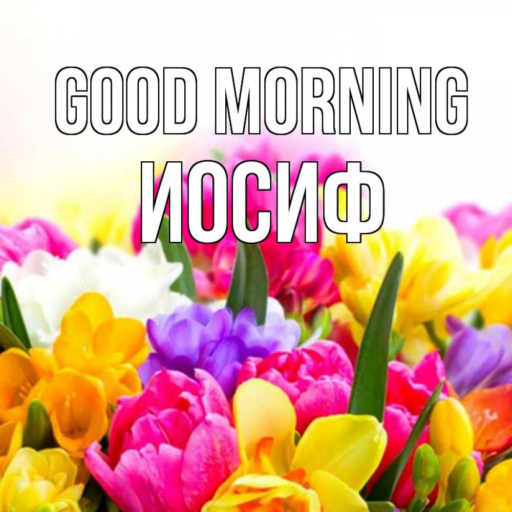 Greetings card с именем, Иосиф Good morning создать открытку со свое подписью Greetings with text for free download 
