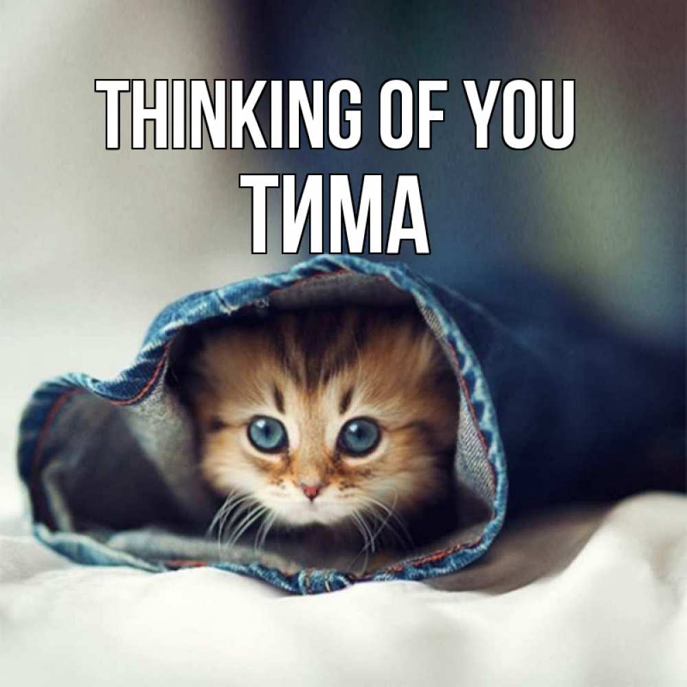 Greetings card с именем, Тима Thinking of you мне без тебя плохо Greetings with text for free download 