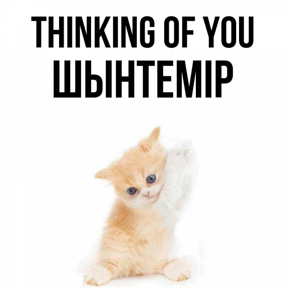 Greetings card с именем, ШЫНТЕМІР Thinking of you зверушки и милота Greetings with text for free download 