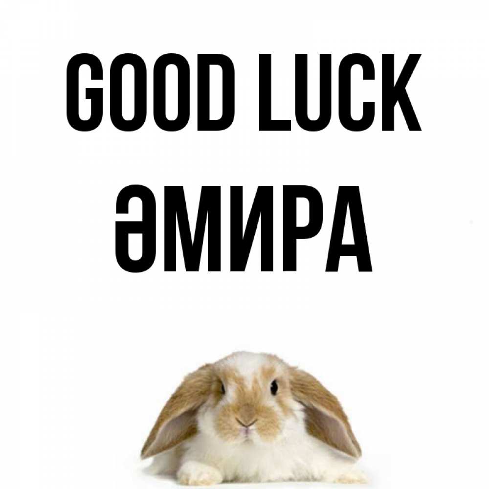 Greetings card с именем, ӘМИРА Good luck открытки с произвольным текстом который можно вставить в открытку и создать ее самостоятельно бесплатно онлайн Greetings with text for free download 