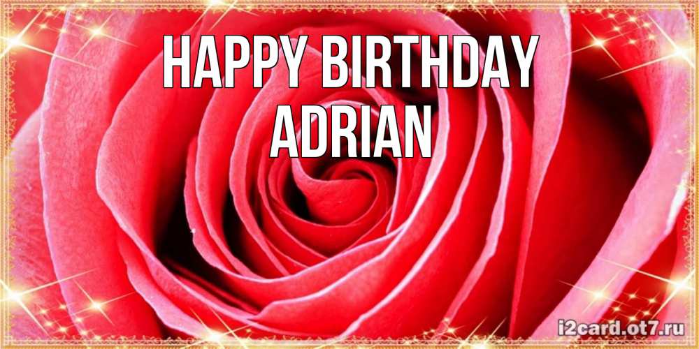 Greetings card с именем, Adrian Happy Birthday розовая роза очень крупный бутон Greetings with text for free download 