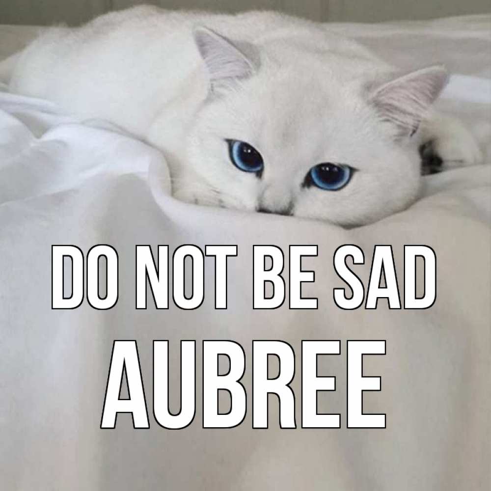 Greetings card с именем, Aubree Do not be sad белый кот с голубыми глазами на белоснежной кровати Greetings with text for free download 