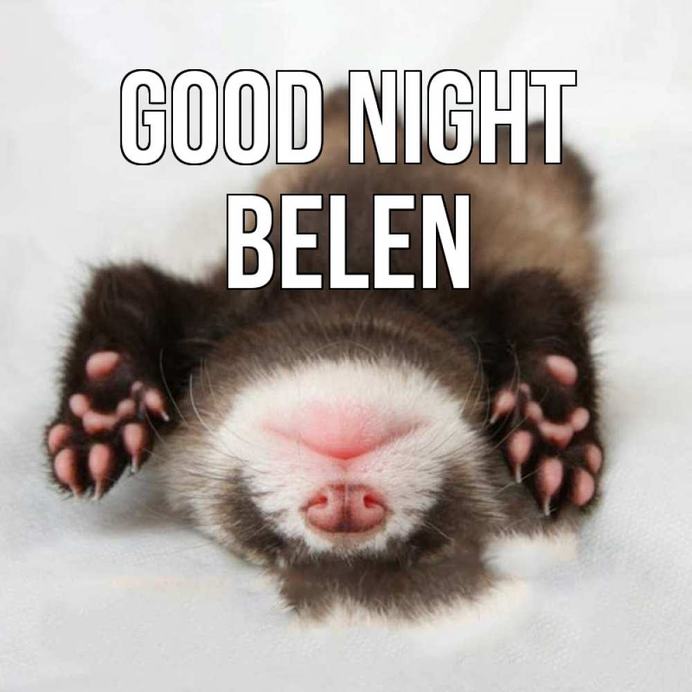 Greetings card с именем, Belen Good night зверек Greetings with text for free download 
