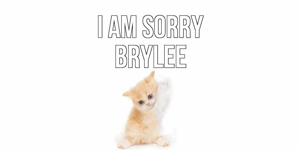 Greetings card с именем, Brylee I am sorry кот Greetings with text for free download 