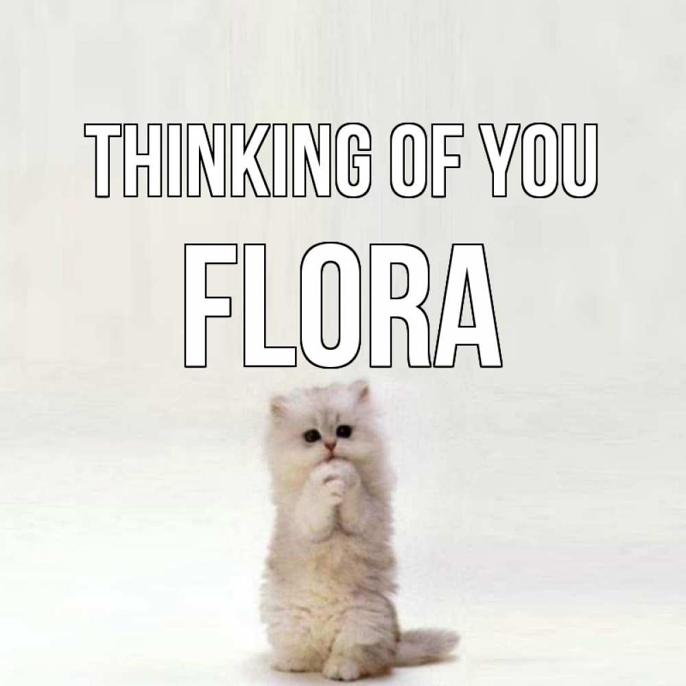 Greetings card с именем, Flora Thinking of you кот стоит на задних лапах Greetings with text for free download 