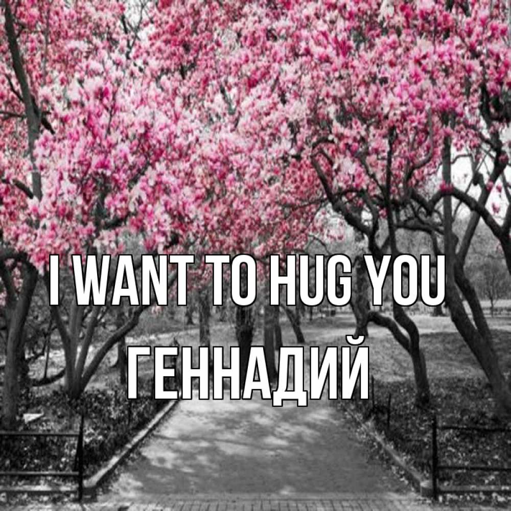 Greetings card с именем, Геннадий I want to hug you обработанное фото Greetings with text for free download 