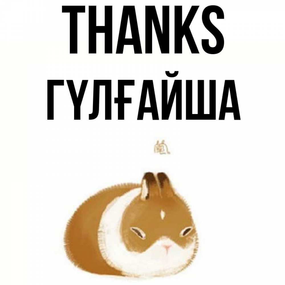 Greetings card с именем, ГҮЛҒАЙША Thanks коричнево белый домашний питомец Greetings with text for free download 