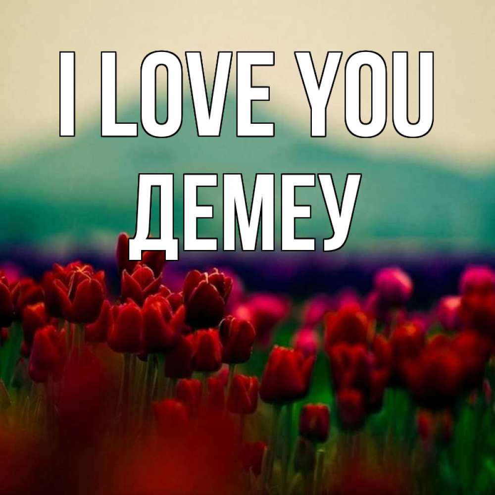 Greetings card с именем, Демеу I love you тюльпаны 4 Greetings with text for free download 