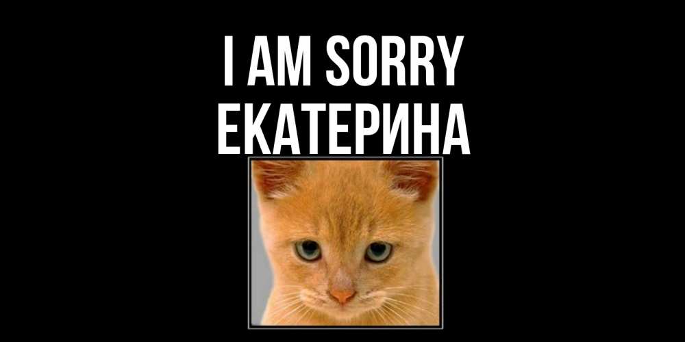 Greetings card с именем, Екатерина I am sorry рыжий грустный кот просит прощения Greetings with text for free download 