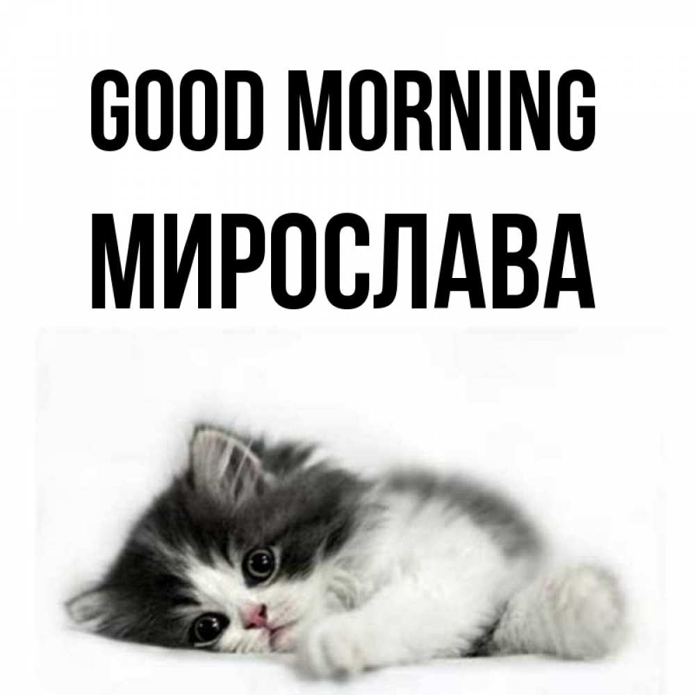 Greetings card с именем, Мирослава Good morning кот лапки Greetings with text for free download 