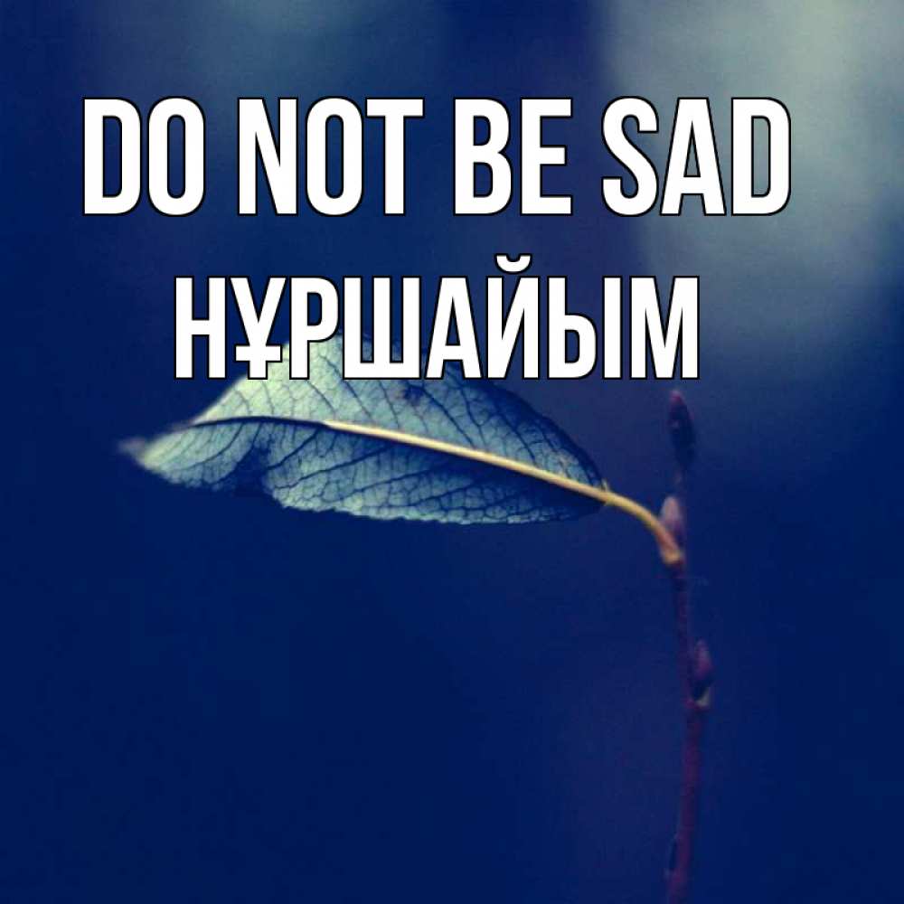 Greetings card с именем, НҰРШАЙЫМ Do not be sad растение Greetings with text for free download 