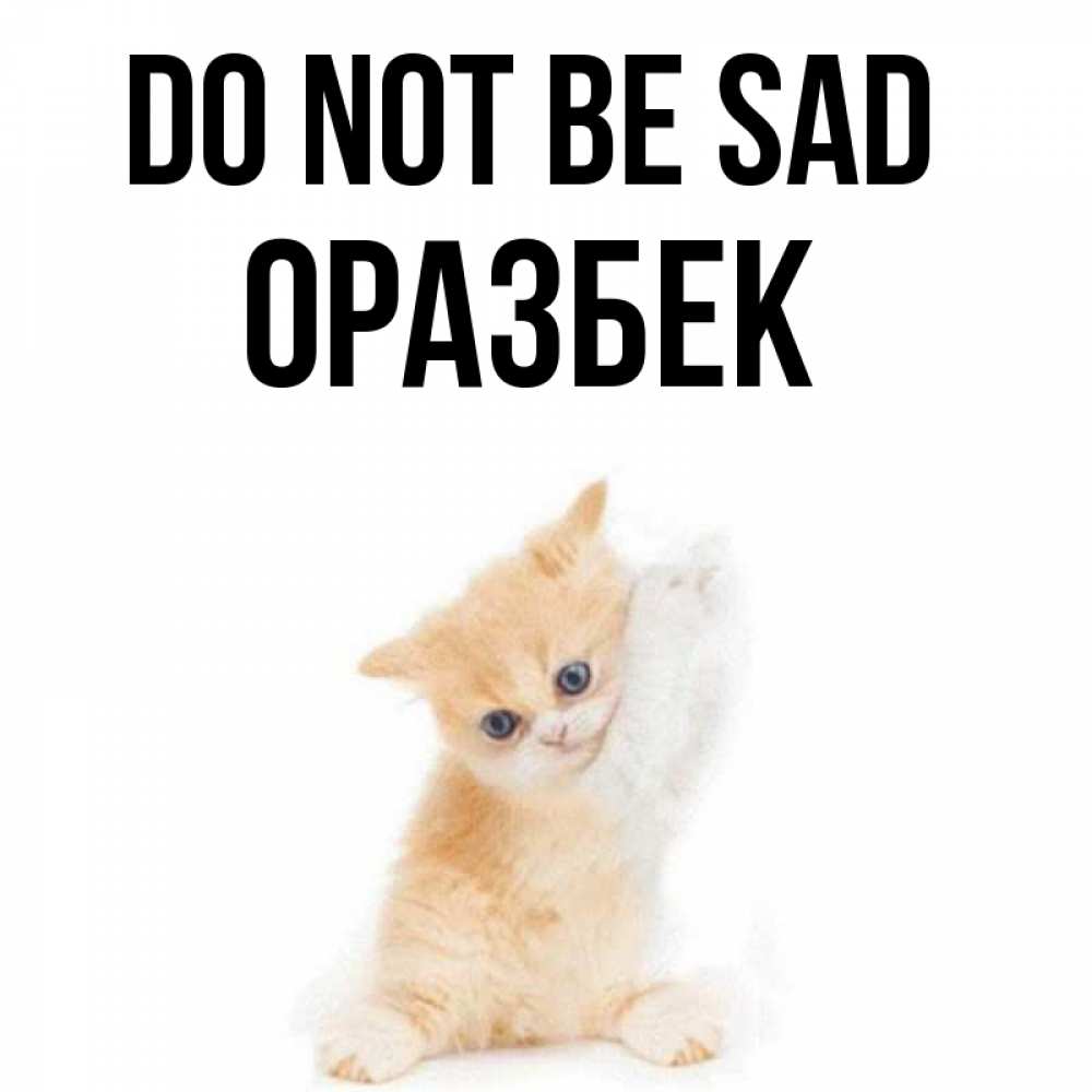 Greetings card с именем, ОРАЗБЕК Do not be sad просящий кот Greetings with text for free download 