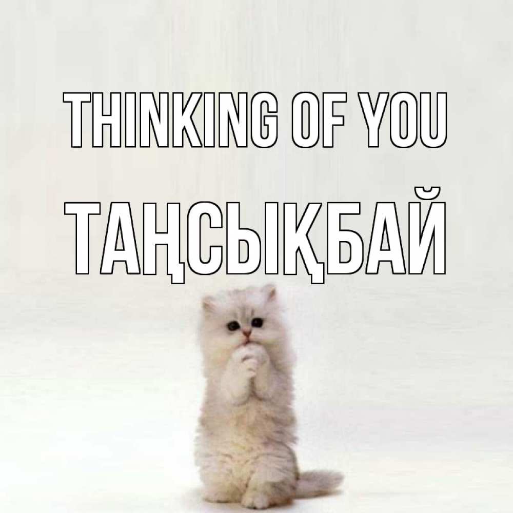 Greetings card с именем, ТАҢСЫҚБАЙ Thinking of you кот стоит на задних лапах Greetings with text for free download 