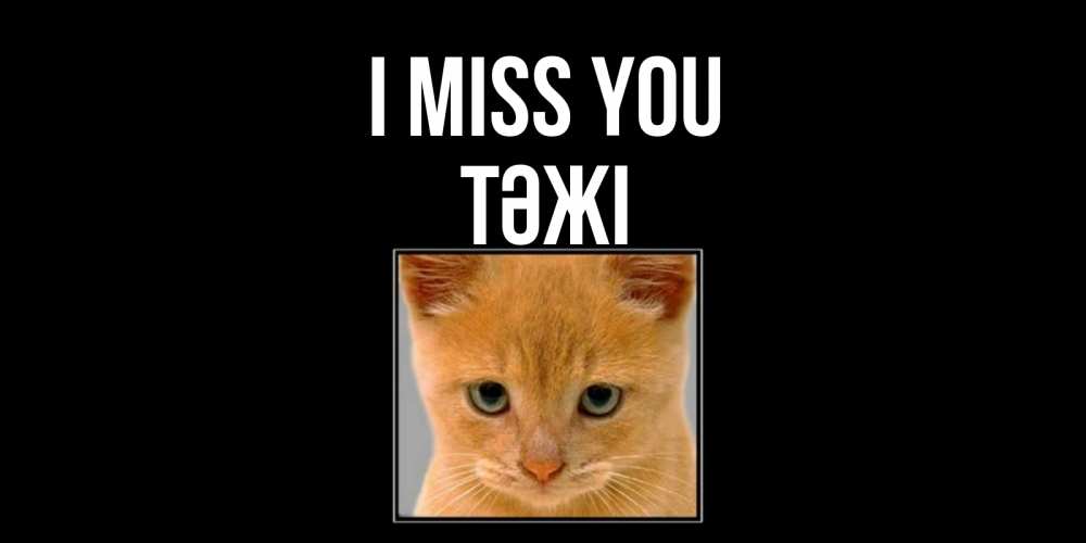 Greetings card с именем, ТӘЖІ I miss you открытки рыжий котенок скучает по тебе Greetings with text for free download 