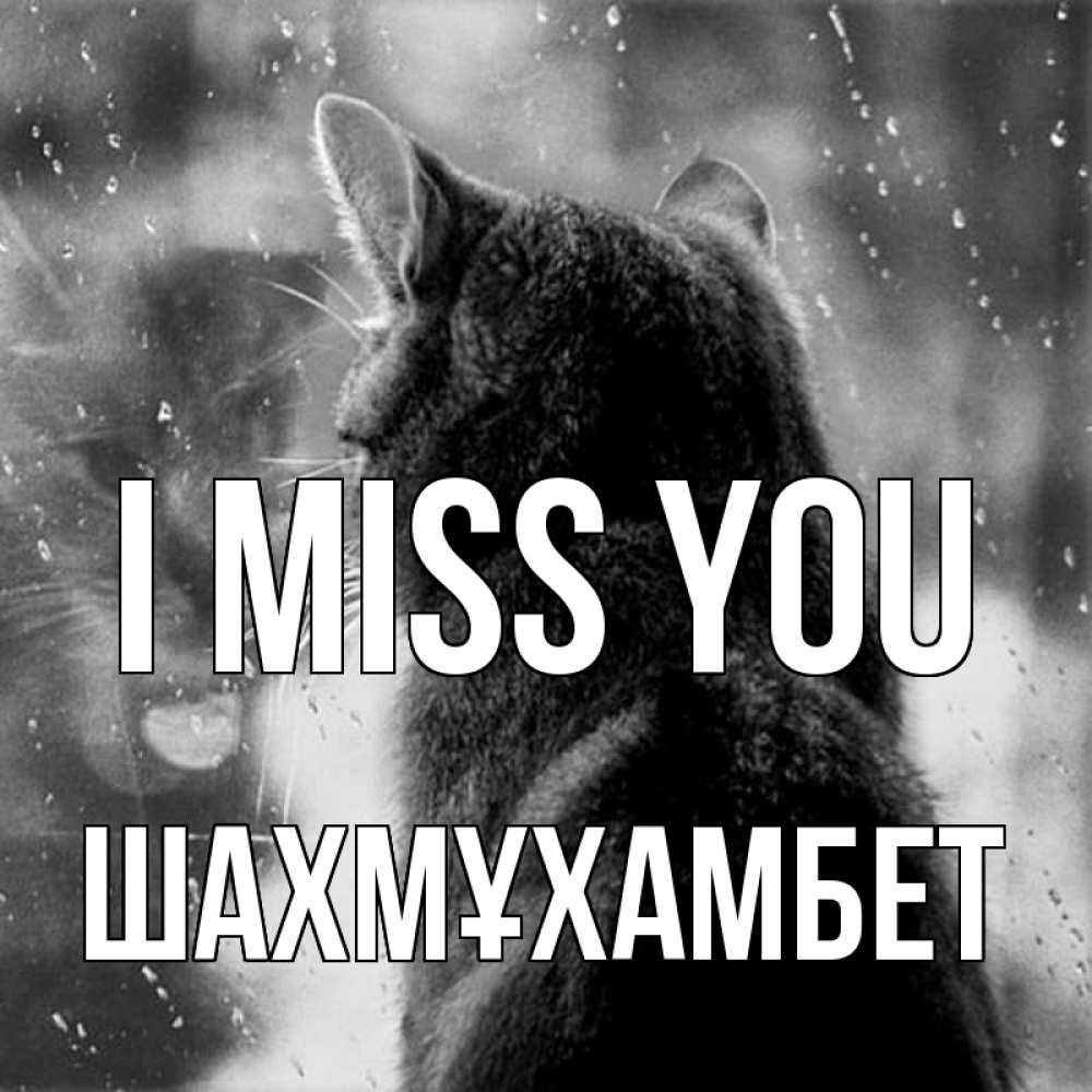 Greetings card с именем, ШАХМҰХАМБЕТ I miss you скорее ко мне приходи 1 Greetings with text for free download 