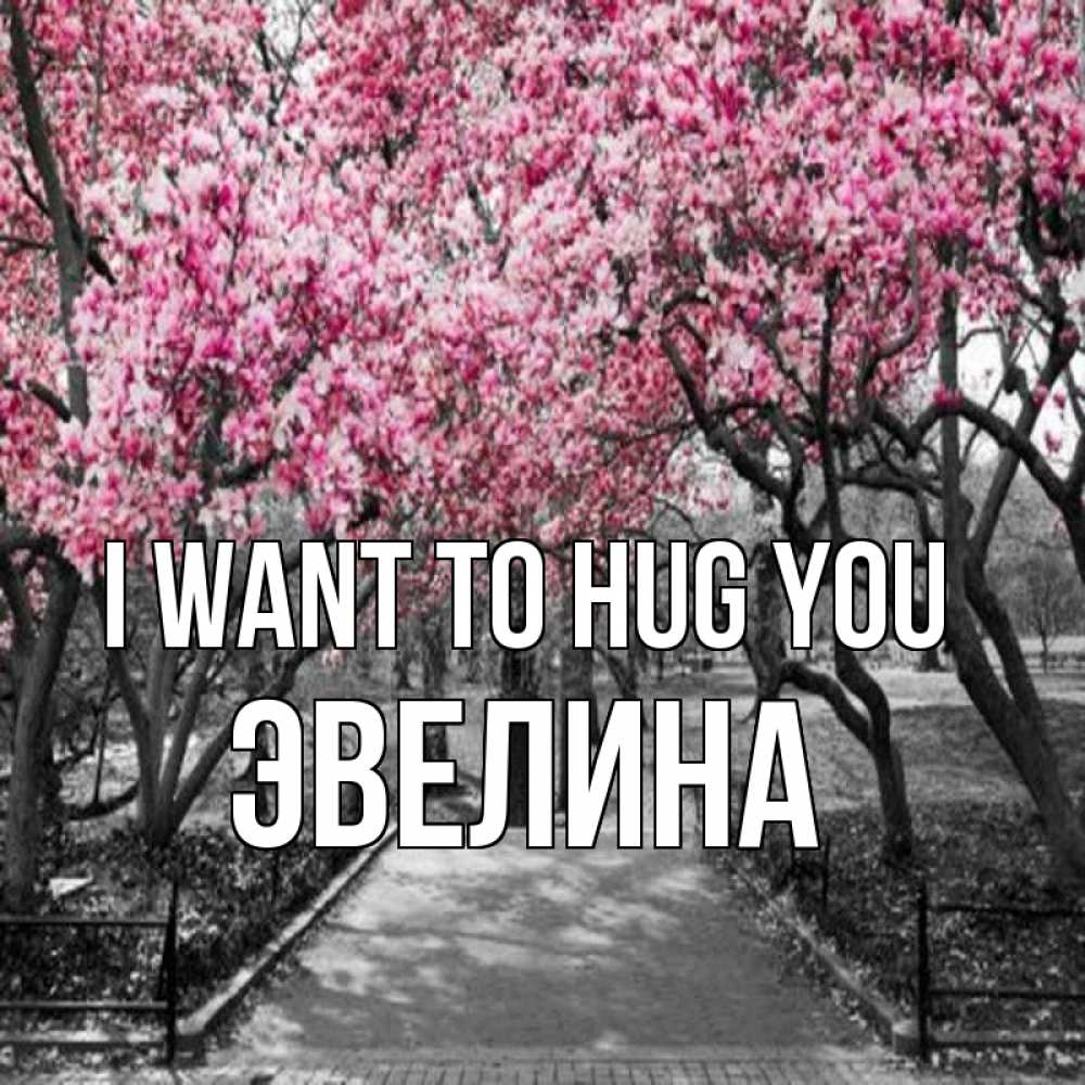 Greetings card с именем, Эвелина I want to hug you обработанное фото Greetings with text for free download 