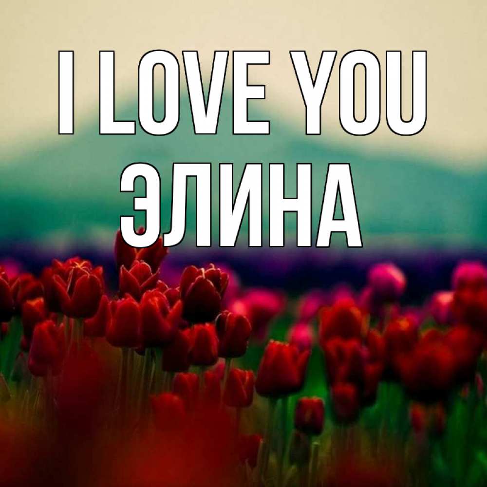 Greetings card с именем, Элина I love you тюльпаны 4 Greetings with text for free download 
