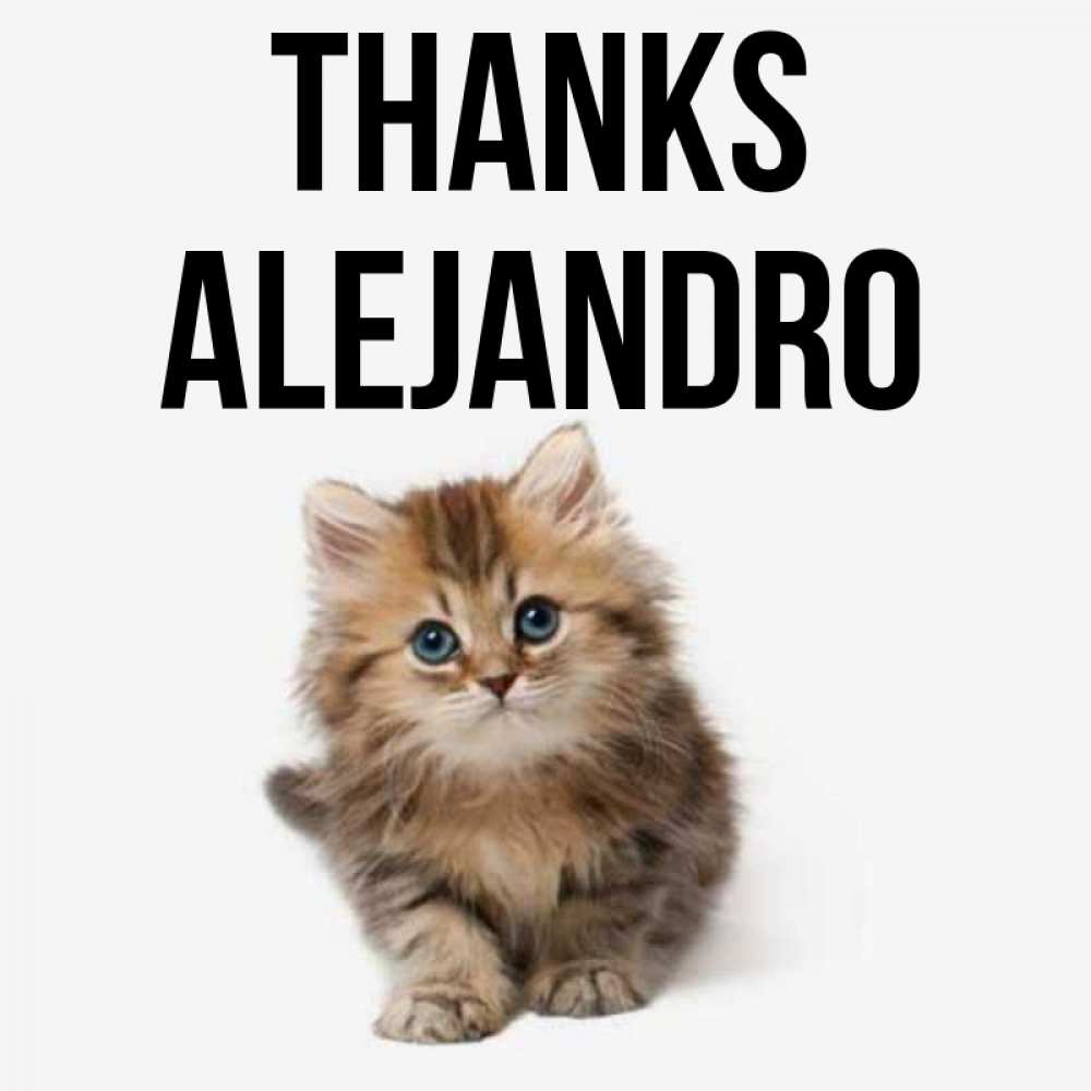 Greetings card с именем, Alejandro Thanks пушистый котик Greetings with text for free download 
