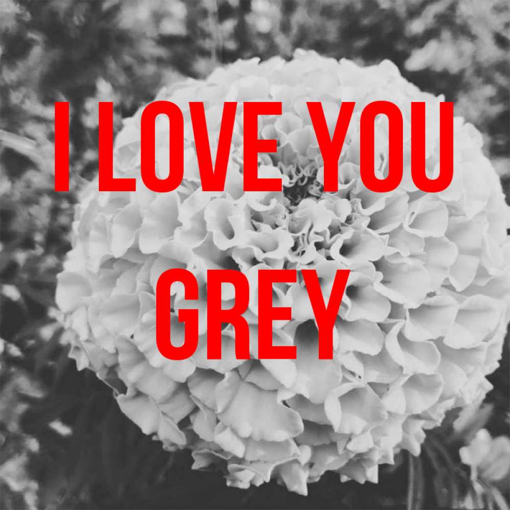 Greetings card с именем, Grey I love you подпись Greetings with text for free download 