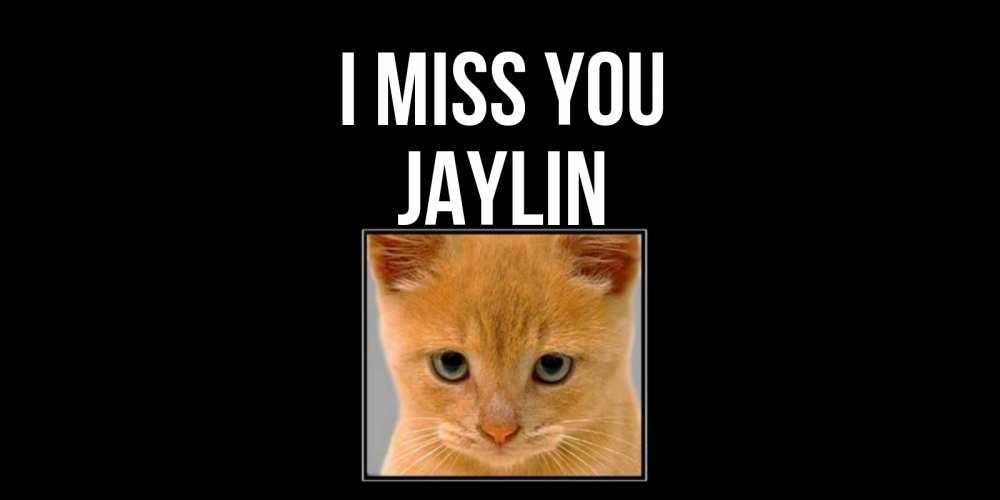 Greetings card с именем, Jaylin I miss you открытки рыжий котенок скучает по тебе Greetings with text for free download 