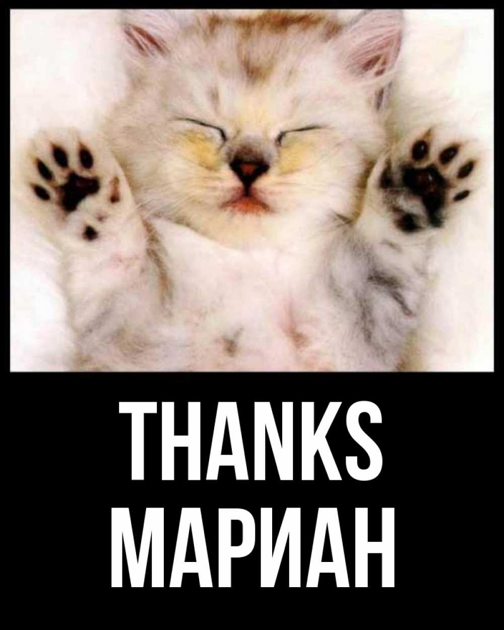 Greetings card с именем, Мариан Thanks маленький котенок Greetings with text for free download 