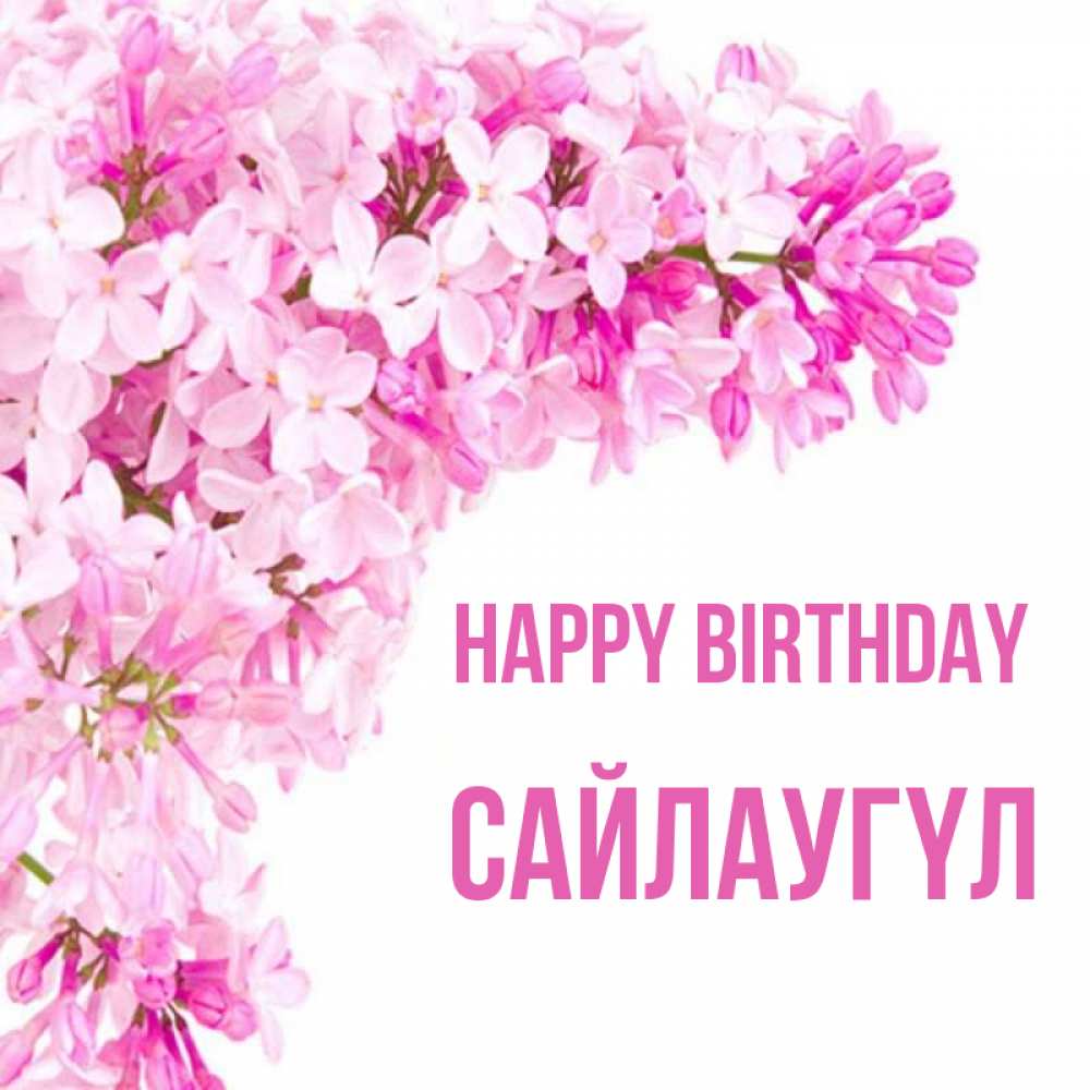 Greetings card с именем, САЙЛАУГҮЛ Happy Birthday Сирень на белом фоне Greetings with text for free download 