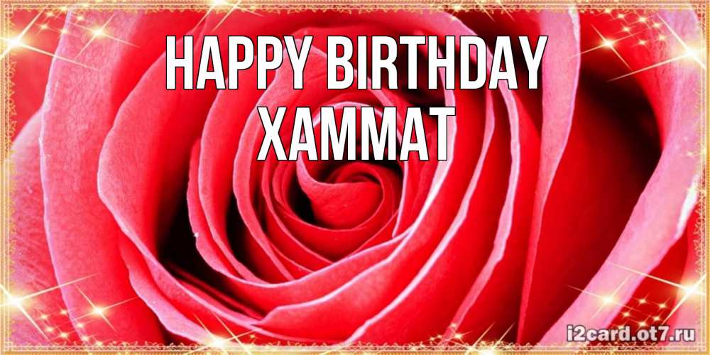 Greetings card с именем, ХАММАТ Happy Birthday розовая роза очень крупный бутон Greetings with text for free download 