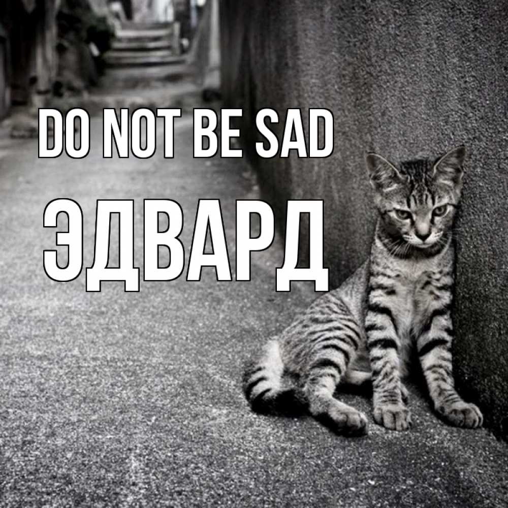 Greetings card с именем, Эдвард Do not be sad скучающий котик Greetings with text for free download 