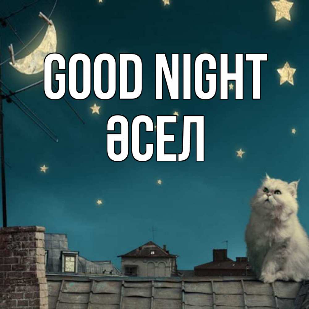 Greetings card с именем, ӘСЕЛ Good night белый кот сидит на крыше Greetings with text for free download 