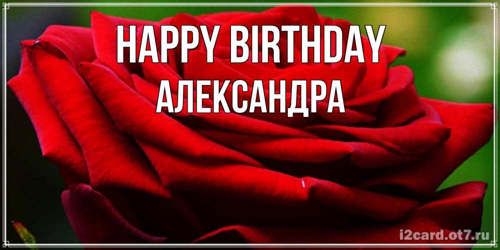 Greetings card с именем, Александра Happy Birthday розочка очень красивая Greetings with text for free download 